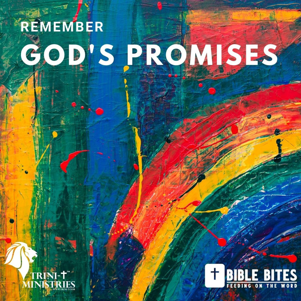 Bible Bites - Remember God's Promises - Trini-T Ministries