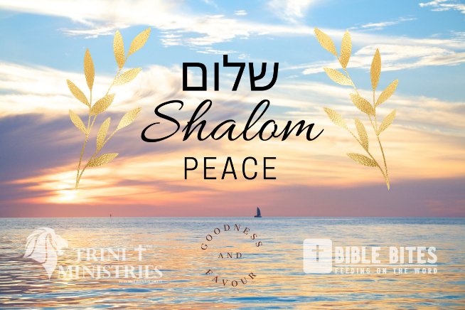 Bible Bites - Shalom - Numbers 6:23-26 - Trini-T Ministries