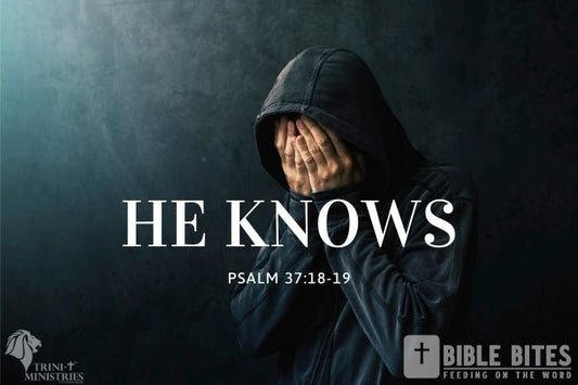 Bible Bites - The Lord Knows - Psalm 37:18-19 - Trini-T Ministries