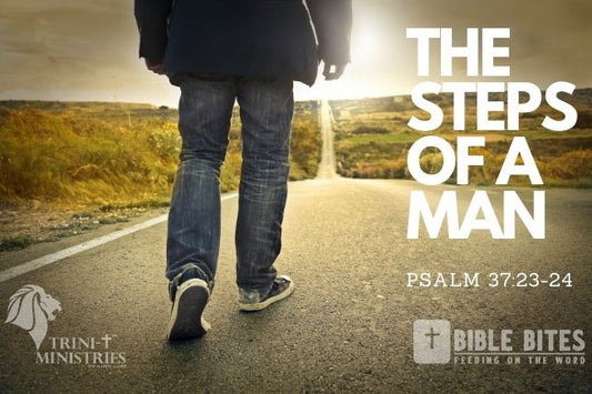 Bible Bites  - The Steps of a Man - Psalm 37:23-24 - Trini-T Ministries