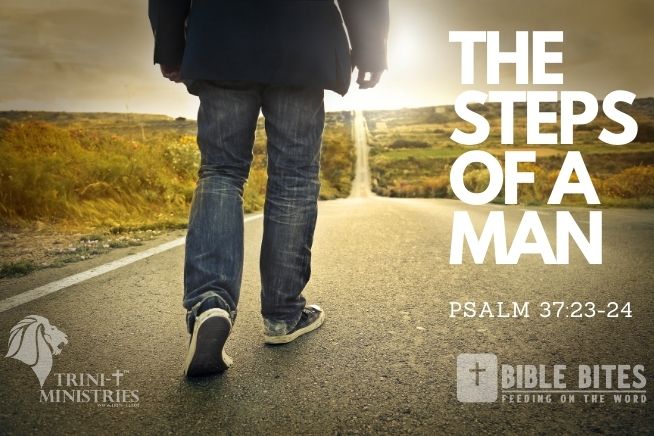 Bible Bites  - The Steps of a Man - Psalm 37:23-24