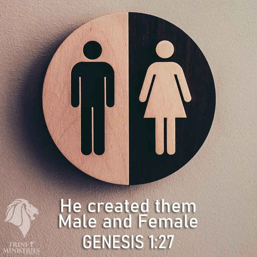 Male and Female - Trini-T Ministries