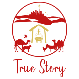 True Story Collection