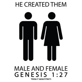 Male and Female | Genesis 1:27 Collection - Trini-T Ministries