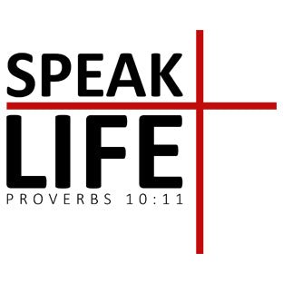 Speak Life Collection - Trini-T Ministries