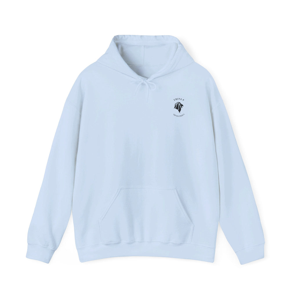 Light blue hoodie with embroidered logo, perfect Christian gifts for your greatest friend