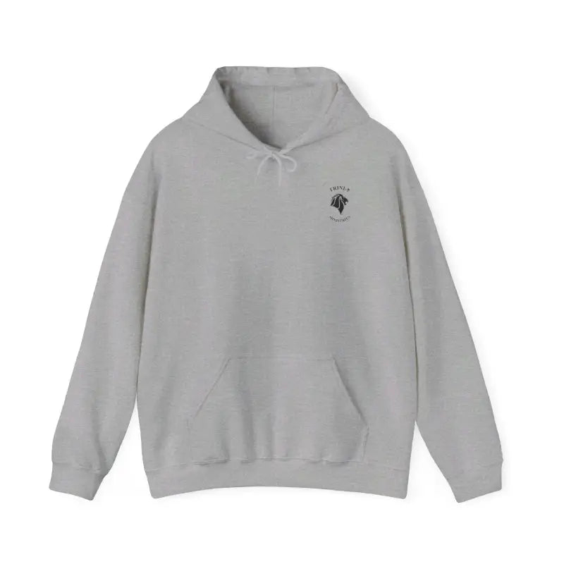 Light gray Friend in Jesus hoodie with small logo, perfect Christian gift for your greatest friend