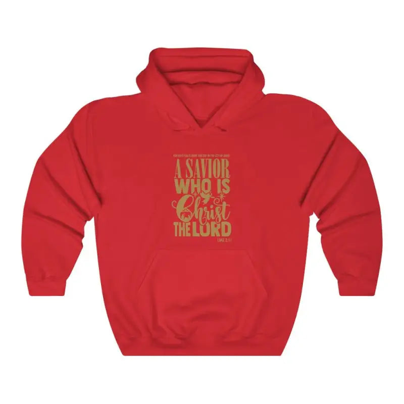 Luke 2:11 - Hoodie -  Navy / S, Navy / M, Navy / L, Navy / XL, Navy / 2XL, Navy / 3XL, Navy / 4XL, Navy / 5XL, Black / S, Irish Green / S -  Trini-T Ministries