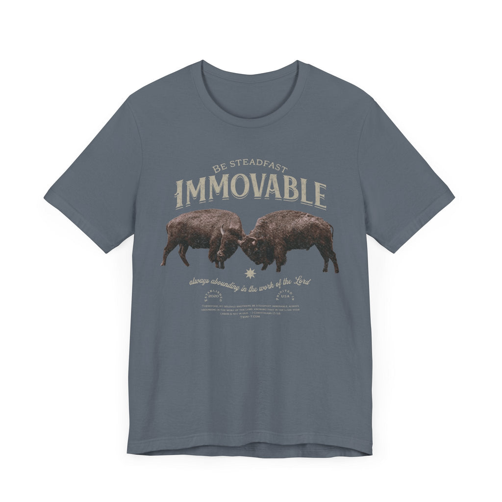 Steadfast & Immovable - Men's T - Trini-T Ministries