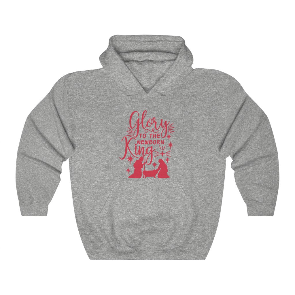 Glory to the King - Hoodie -  Sport Grey / S, Sport Grey / M, Sport Grey / L, Sport Grey / XL, Sport Grey / 2XL, Sport Grey / 3XL, Sport Grey / 4XL, Sport Grey / 5XL, Black / S, Navy / S -  Trini-T Ministries